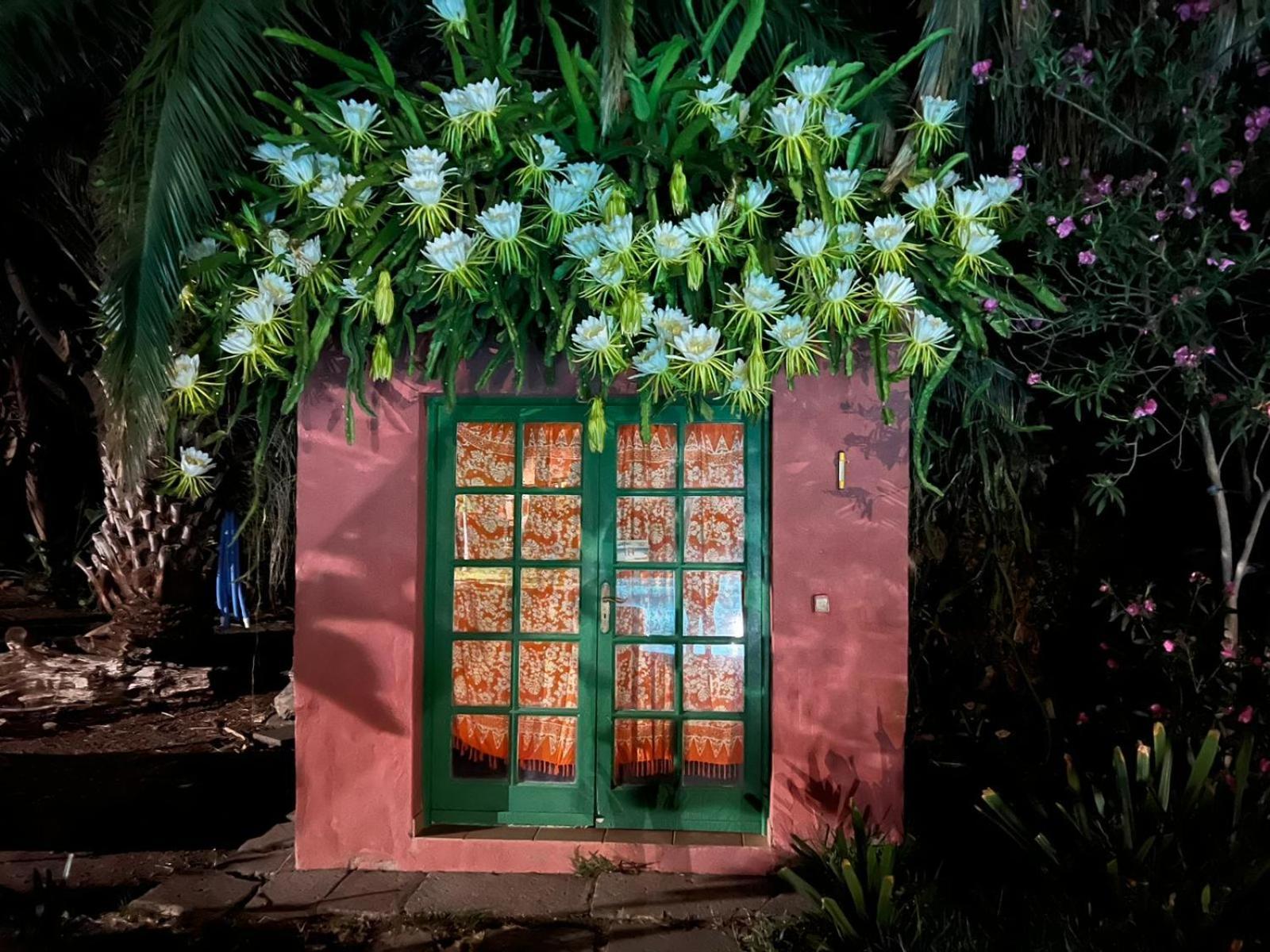 Vila La Casa Del Molino De Viento Agaete  Exteriér fotografie